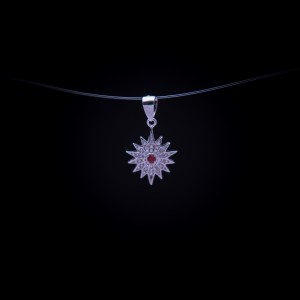 003/0007 Silver star of bethlehem 